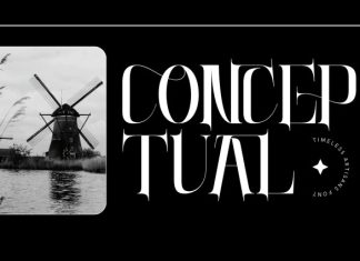 TIMELESS ARTISANS – LUXURY SERIF FONT preview image 2