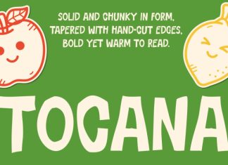 TOCANA Font preview image 1