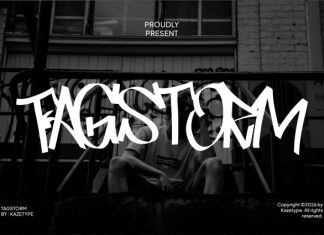 Tagstorm Font preview image 1