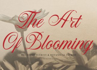 Tartaglia Classic Script Font preview image 2