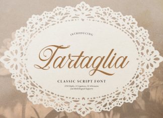 Tartaglia Classic Script Font preview image 1
