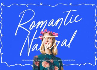Tender Natural – Handwritten Ink Font preview image 2