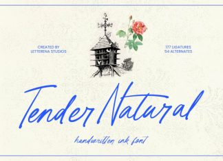 Tender Natural – Handwritten Ink Font preview image 1