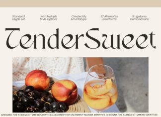 Tender Sweet Font preview image 1