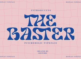 The Baster – Display Font preview image 1