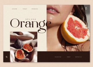 The Cartel – Elegant Serif Font preview image 3