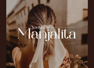 The Cartel – Elegant Serif Font preview image 2