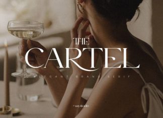 The Cartel – Elegant Serif Font preview image 1