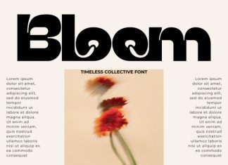 Timeless Collective – Psychedelic Font preview image 3