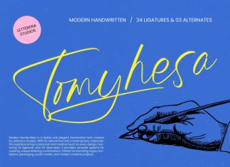 Tomyhesa – Modern Handwritten Font preview image 1