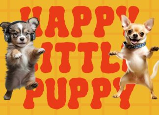 Toonify Bold Doodle Font preview image 2
