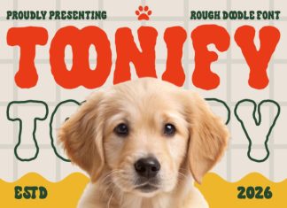 Toonify Bold Doodle Font preview image 1