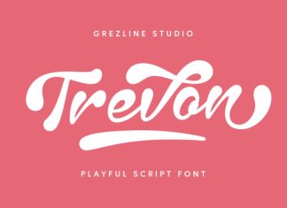 Trevon – Playful Script Font preview image 1