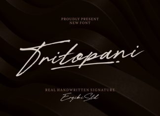 Tritopani Font preview image 1