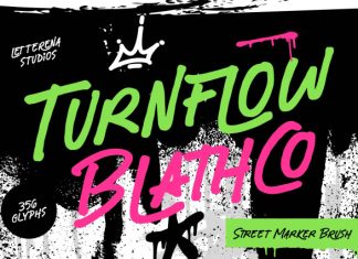 Turnflow Blathco Font preview image 1