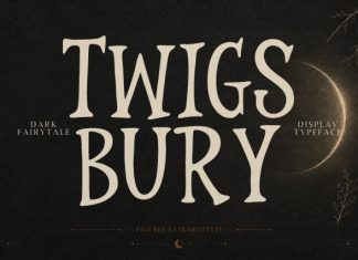 Twigsbury – Dark Fairytale Serif Font preview image 1