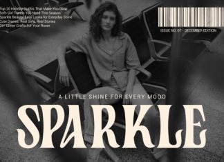 Twisly Twisted Serif Font preview image 3