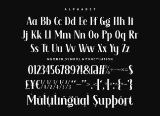 Unique Attraction Font preview image 3