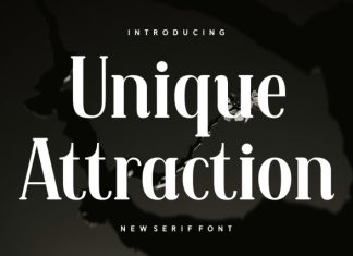 Unique Attraction Font preview image 1