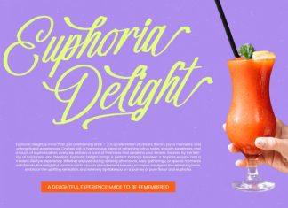 Vakantcy – Modern Brush Script Font preview image 2