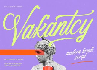 Vakantcy – Modern Brush Script Font preview image 1