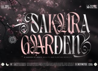 Valeria Secret – Modern Blackletter Serif Typeface Font preview image 2