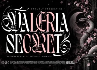 Valeria Secret – Modern Blackletter Serif Typeface Font preview image 1