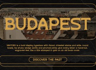 Vantoek – Vintage Archive Display Font preview image 3
