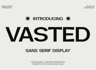 Vasted – Bold Sans Serif Display Font preview image 1