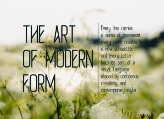Velmiqura Modern Experimental Font preview image 3