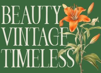 Veloria Palace Classic Serif Font preview image 3