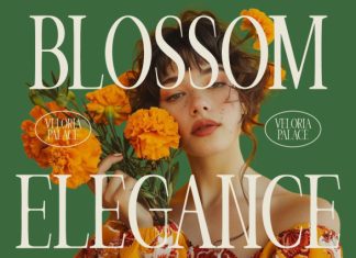 Veloria Palace Classic Serif Font preview image 2