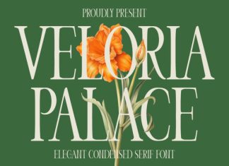 Veloria Palace Classic Serif Font preview image 1