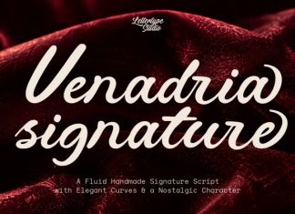 Venadria Signature Font preview image 1