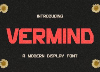 Vermind Display Modern Typeface Font preview image 1
