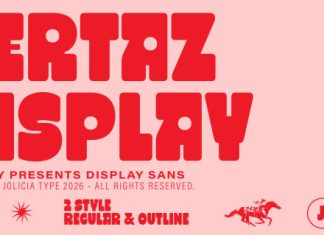Vertaz Display Regular Font preview image 1