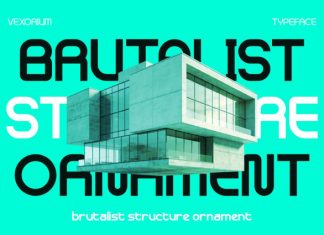 Vexorium Modern Experimental Font preview image 2
