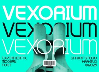 Vexorium Modern Experimental Font preview image 1