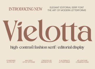 Vielotta Font preview image 1