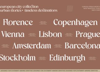 Vielotta Font preview image 2