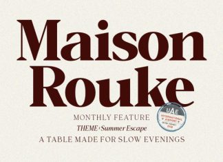 Vioneta Sloane – High Contrast Serif Font preview image 3