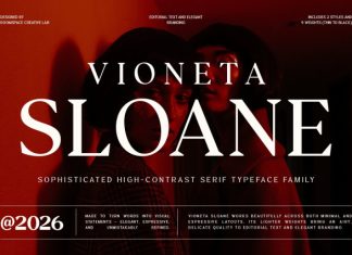 Vioneta Sloane – High Contrast Serif Font preview image 1