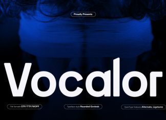 Vocalor Rounded Grotesk Font preview image 1