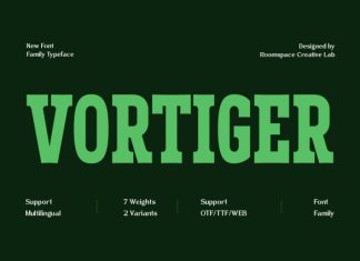 Vortiger – Modern Western Serif Font preview image 1