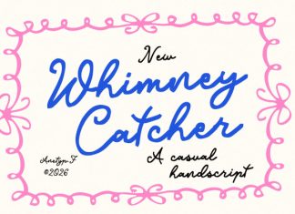 Whimney Catcher – Whimsical Script Font preview image 1