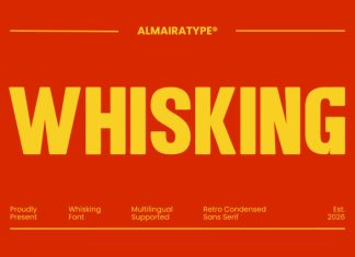 Whisking – Retro Sans Serif Font preview image 1