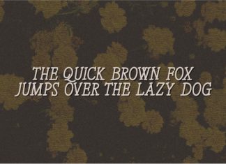 Wildflowers HS Font preview image 2