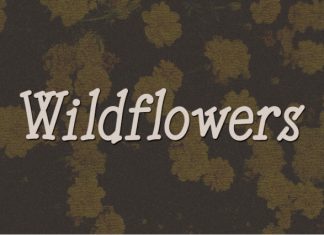 Wildflowers HS Font preview image 1
