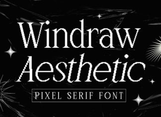 Windraw Aesthetic – Pixel Serif Font preview image 1