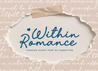 Within Romance – Cursive Script Font preview image 1
